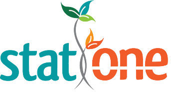 StatOne Logo (small)